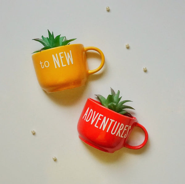 To New Adventures Cup Planter Set - Mug Planter Set - Wall Garden Planters - Garden Wall Decor - Balcony Decor - Succulent Planter - Small Ceramic Pots - Plant Lover Gifts - Buy Online India - Free Shipping